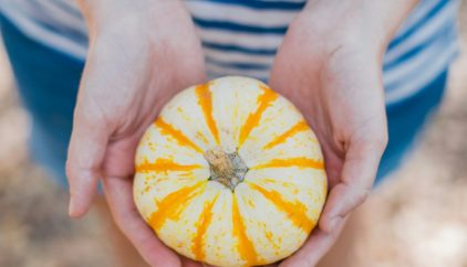 a person holding a pumpkin in their hands